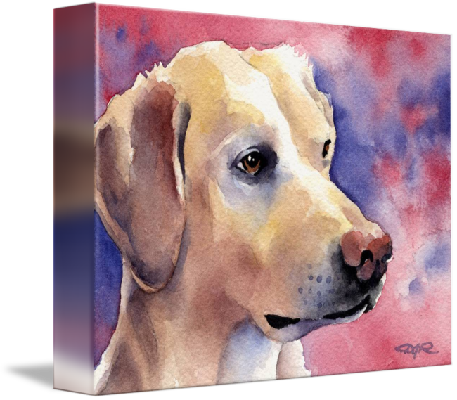 Labrador Retriever 2 By David Rogers - Labrador Retriever (650x569), Png Download