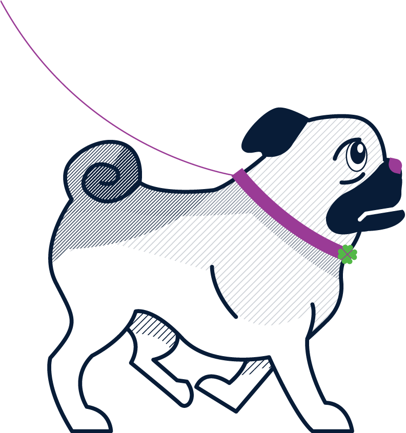Dog Sitter, Dog Sitting, Dog Walking - Pug (800x844), Png Download