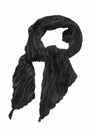 Buy Evergreen Black Scarf - Peter England (300x450), Png Download