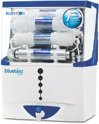 Bluemoon - Blue Bird Ro Price (500x600), Png Download