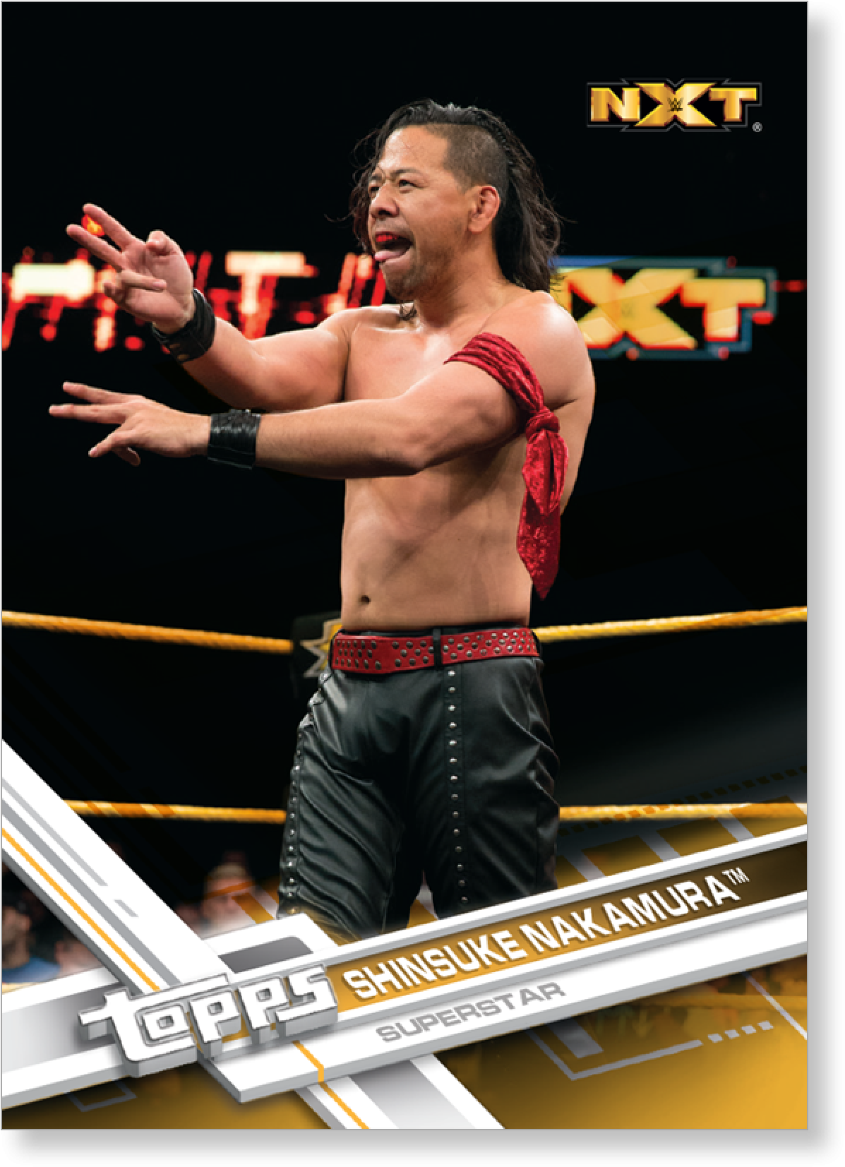 Wwe Nxt (2000x2000), Png Download