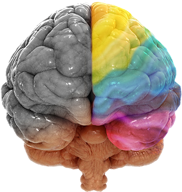 Creative Genius - Feliz Dia Del Publicista (414x435), Png Download