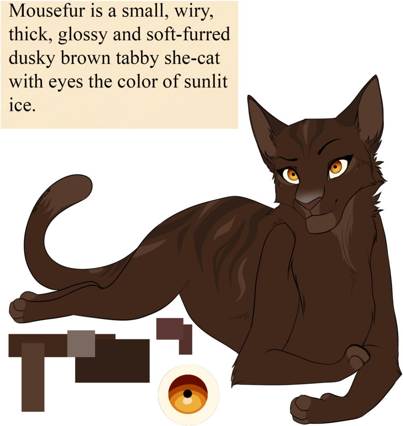 Mousefur By Purespiritflower - Color Warrior Cat Eyes (894x894), Png Download