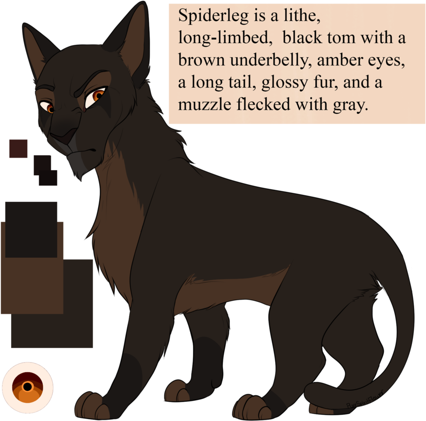 Spiderleg By Purespiritflower - Black Cat With Brown Underbelly (894x894), Png Download