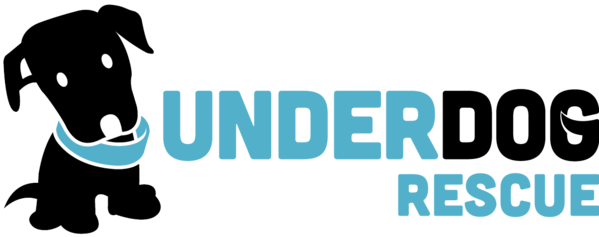 Donate - Underdog Rescue (599x237), Png Download