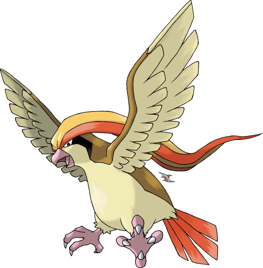 He's Actually A Pidgeot - Pokemon Pidgeot (535x544), Png Download