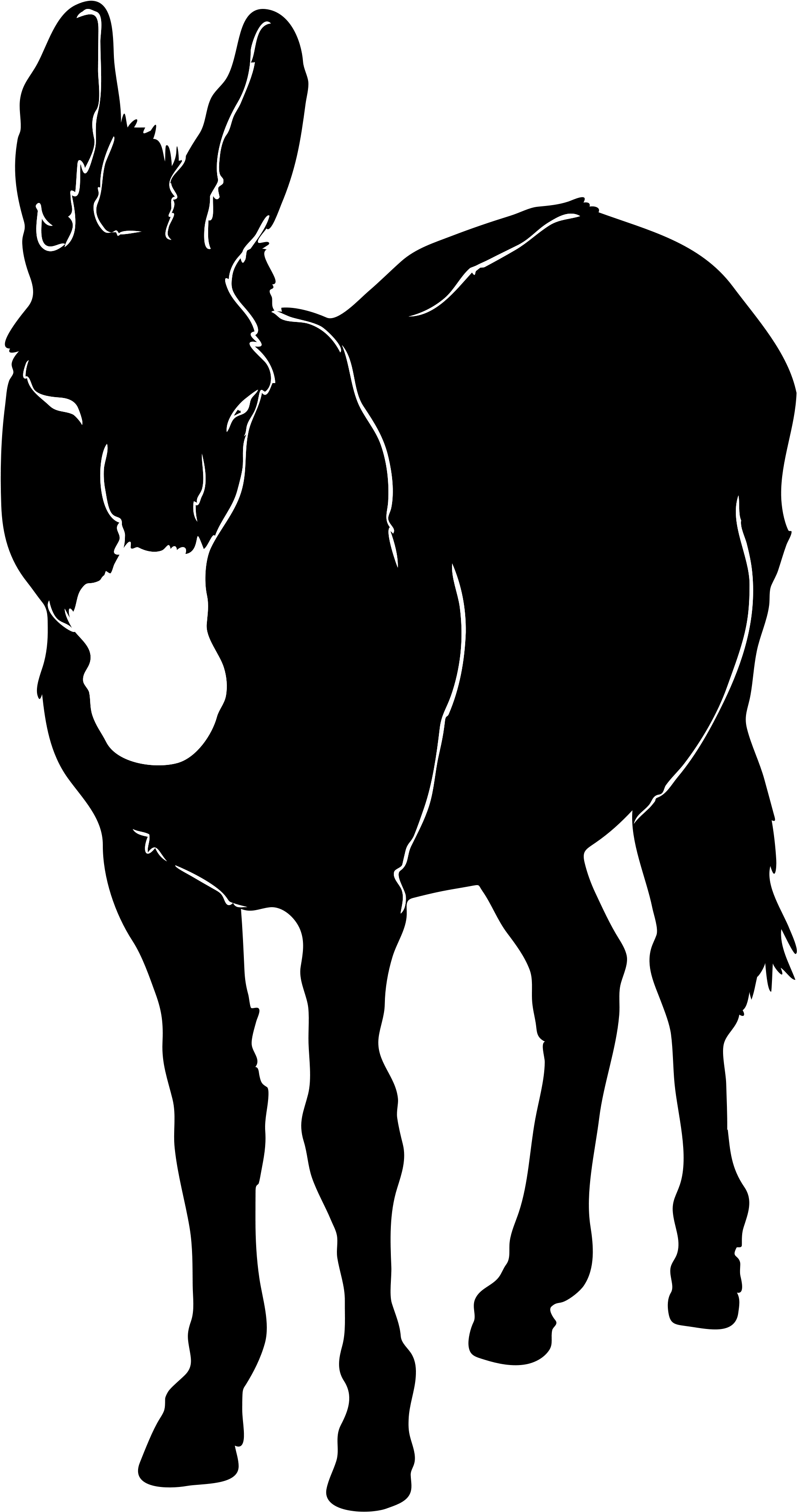 Open - Donkey Silhouette Transparent (2000x3647), Png Download