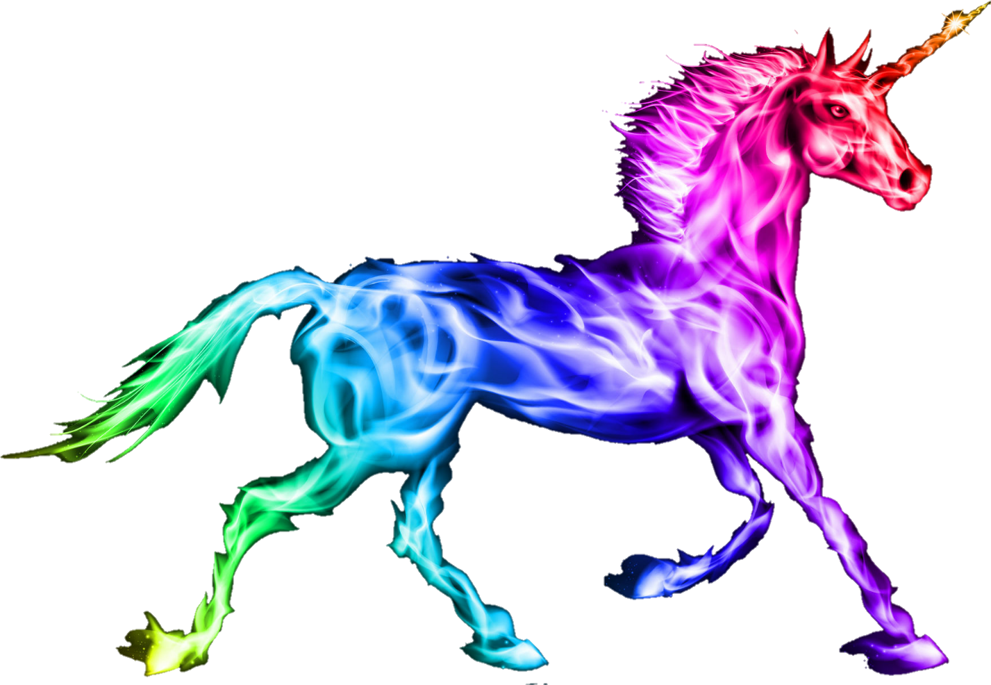 Report Abuse - Unicorn Design Neoprene Can Cooler Stubby Holder Beer (1427x986), Png Download