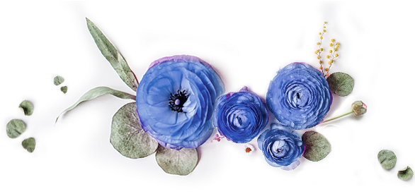 We Are New Zealand's Leading Online Market For Floristry - Grandparent Pregnancy Announcement, Pregnancy Announcement, (630x280), Png Download
