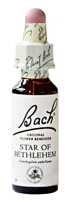 29 Original Flower Remedies Star Of Bethlehem 20 Ml - Bach Original Flower Remedies Willow 20ml (400x400), Png Download