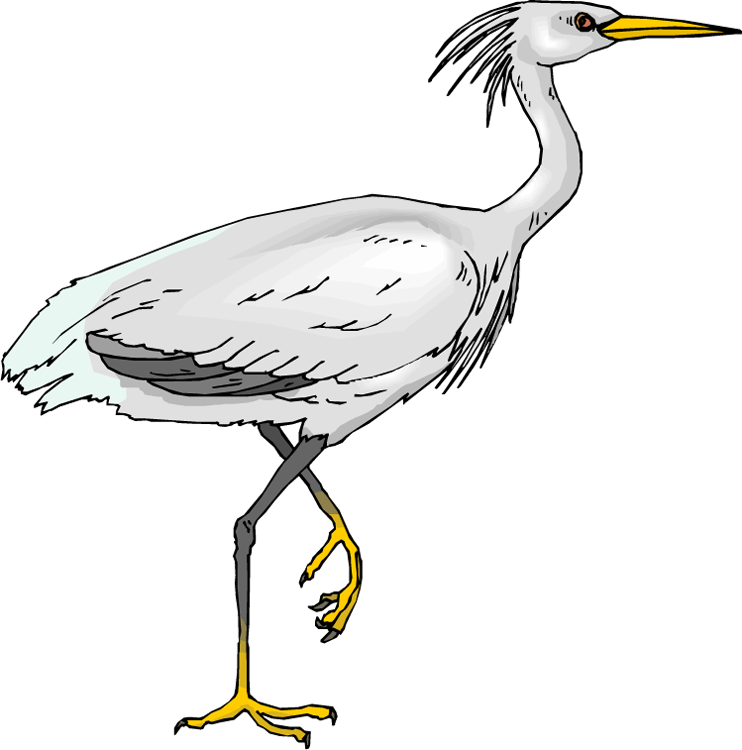 Picture Crane Bird Clipart - Clipart Heron (742x750), Png Download