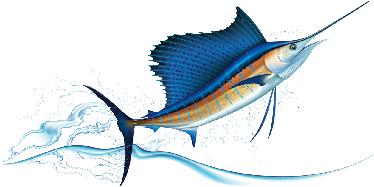 Sailfish Jumping Out Of Water Realistic Vector Illustration - Sail Fish (1280x657), Png Download