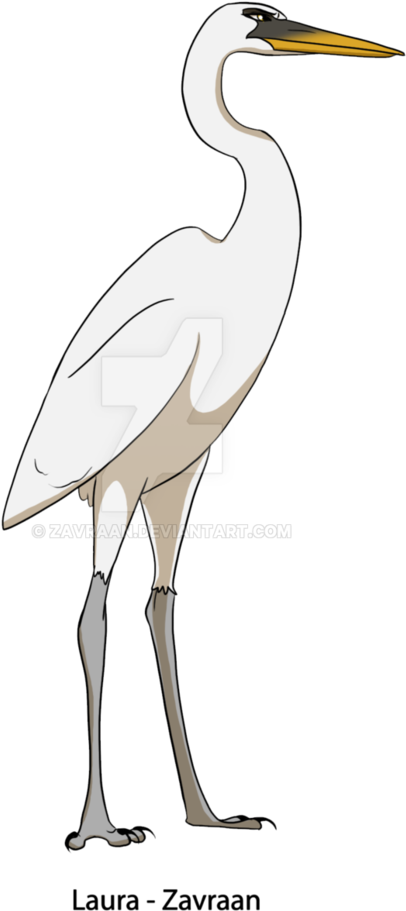 Clip Freeuse Download White By Zavraan On Deviantart - Cartoon White Heron Bird (794x1006), Png Download