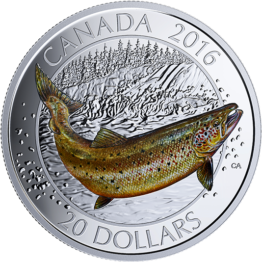 Pure Silver Coloured Coin Big Fish Series - Salmon Coin (570x570), Png Download