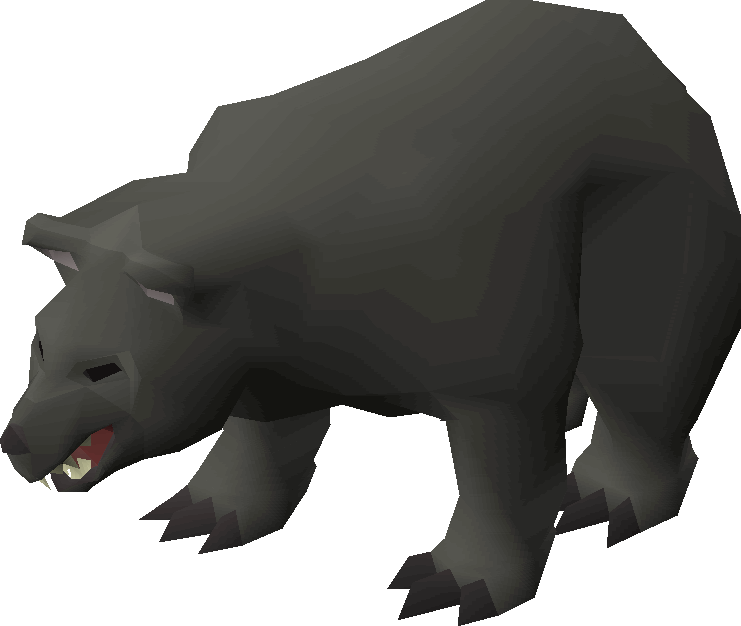 Black Bear - American Black Bear (741x626), Png Download