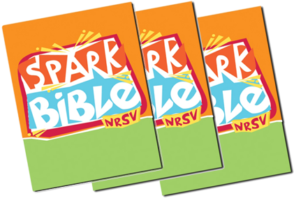 Bibles For Sunday School Students - Spark Bible: New Revised Standard Version (450x300), Png Download