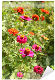 Photograph (400x400), Png Download