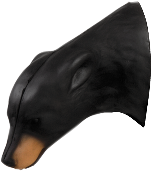 Medium Black Bear Head - Bear (600x600), Png Download