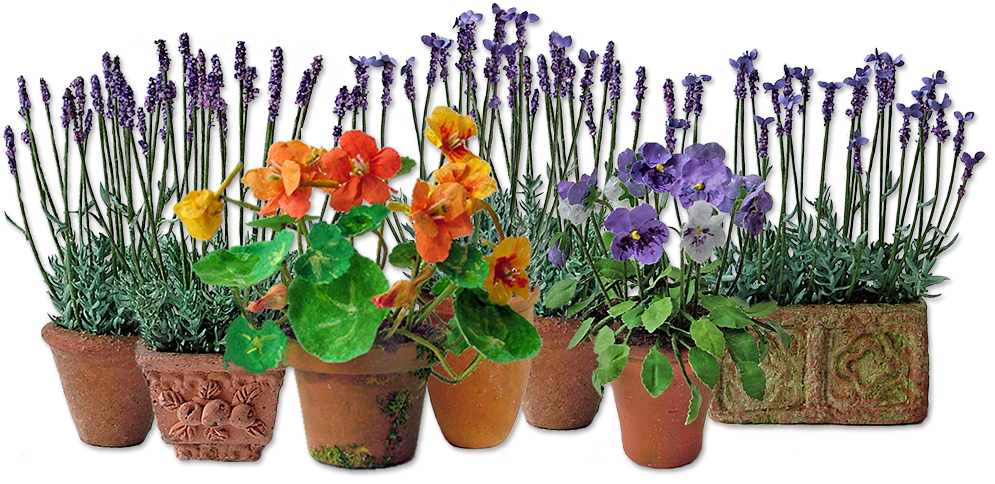 Flowers - Transparent Summer Flowers Png (1000x520), Png Download