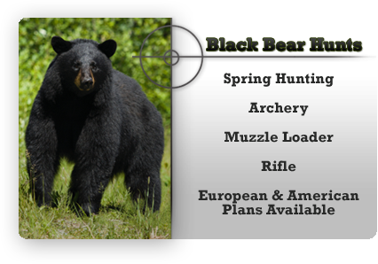 At Tippmann Outfitters, Black Powder And All Forms - Common Core (426x298), Png Download