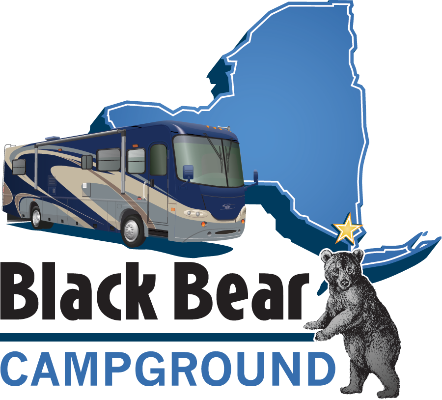 Bear (900x814), Png Download