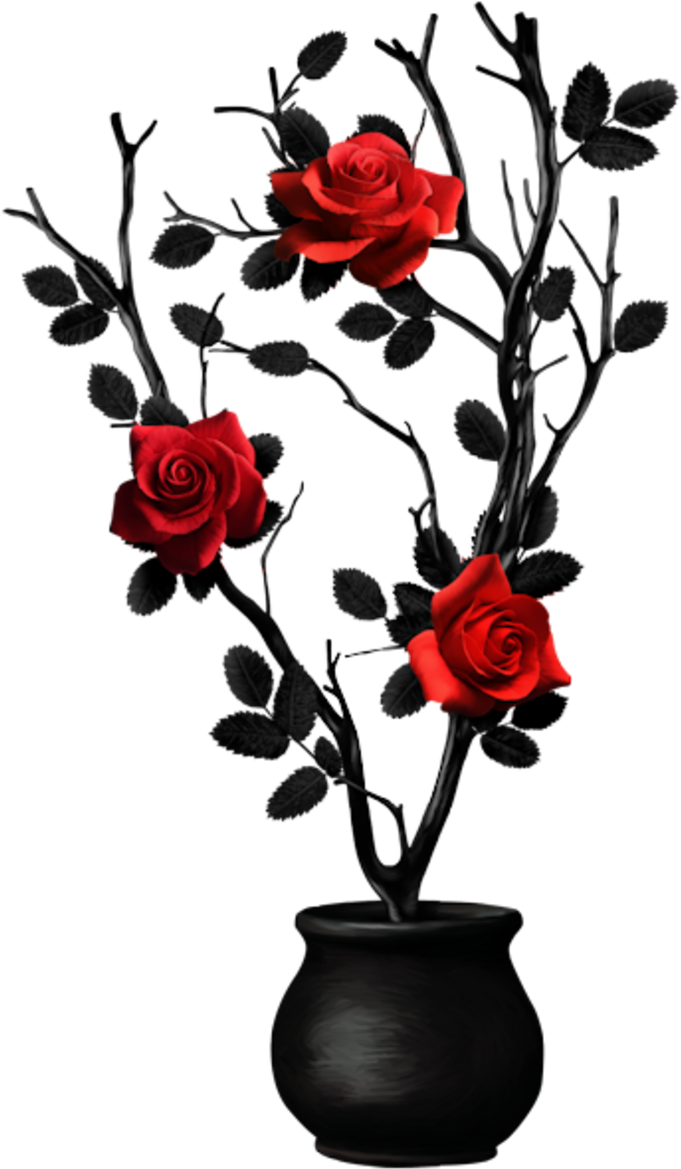 Kit Dark-girls01de - Garden Roses (800x1188), Png Download