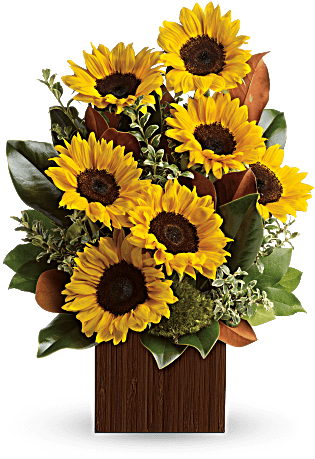 Sunflower Happiness - Flowers - You're Golden Bouquet By Teleflora (368x460), Png Download