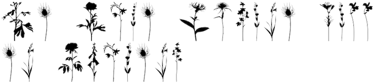 Foundries - Character Encoding (778x176), Png Download