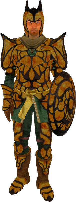 The Elder Scrolls Clipart Oblivion - Oblivion Amber (470x889), Png Download