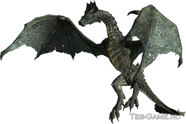 Драконы - Игровой Мир - Skyrim - Каталог Статей - Tes-game - Дракон Пнг (640x426), Png Download
