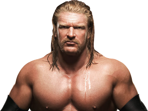 Triple H Triple H Png - World Wrestling Entertainment: Past, Present, And Future (513x386), Png Download