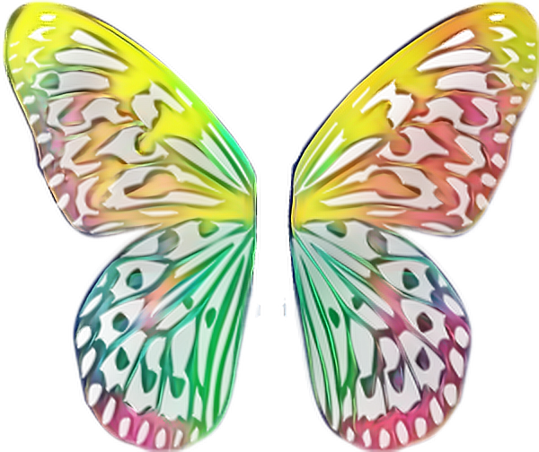 Ftewings Butterfly Wings Butterflywings Monarch Monarch - Butterfly Wings For Picsart (600x504), Png Download
