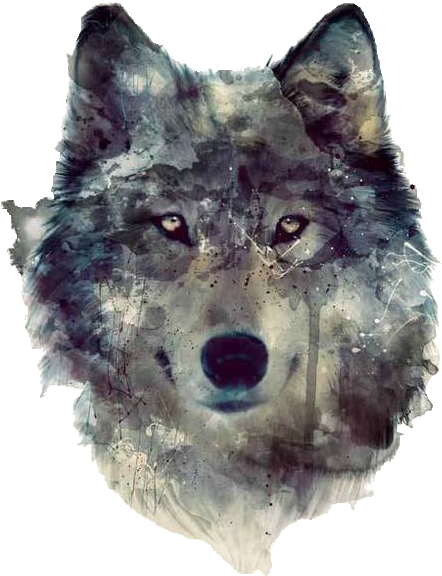 112 Images About Drawings On We Heart It - Fondos De Pantalla De Lobos (485x750), Png Download