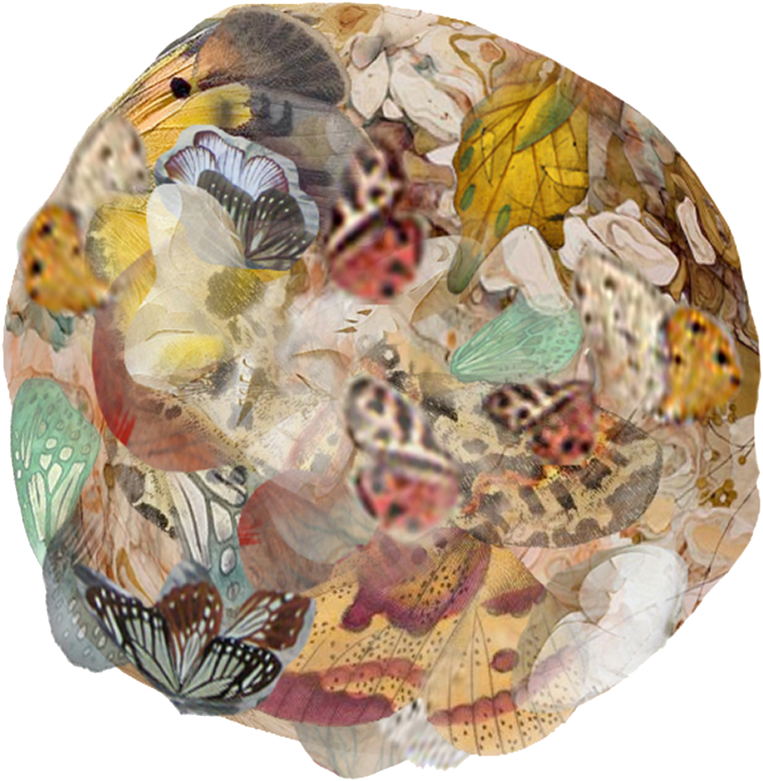 I Then Make A Digital 'glump' Collage - Drawing (1587x1600), Png Download