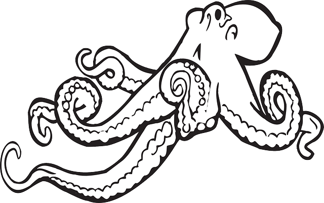 Free Image On Pixabay - Octopus Clipart (640x400), Png Download