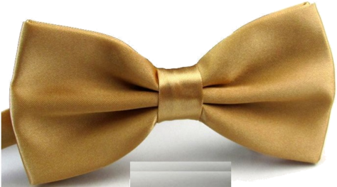 Toogoo Tie - Toogooadjustable Size Satin For Men Women (480x269), Png Download