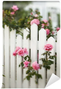 Rose Bush Growing Over White Picket Fence - Three Down The Aisle (400x400), Png Download
