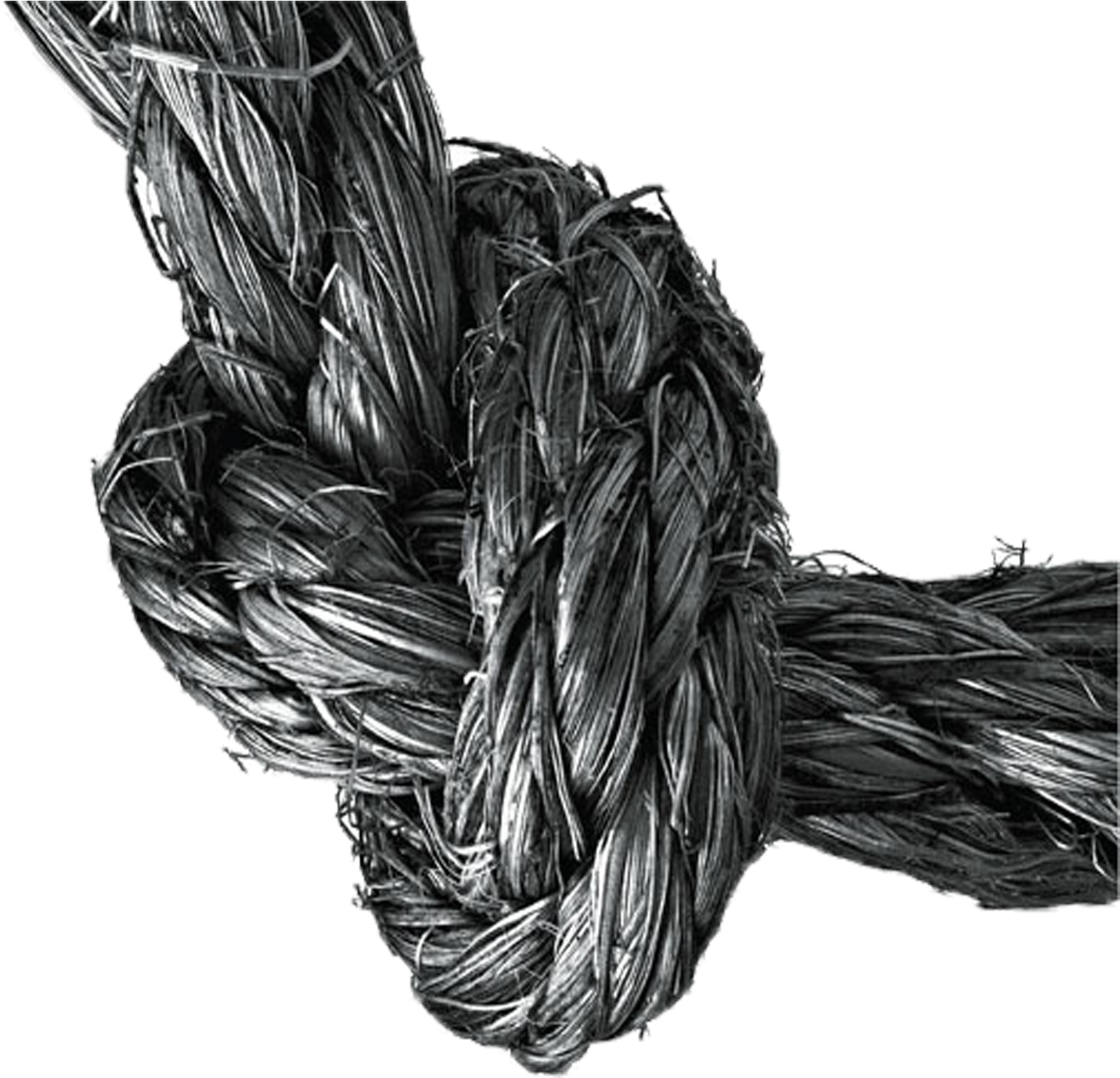 Rope Knot Painting - Drawing (2953x2953), Png Download