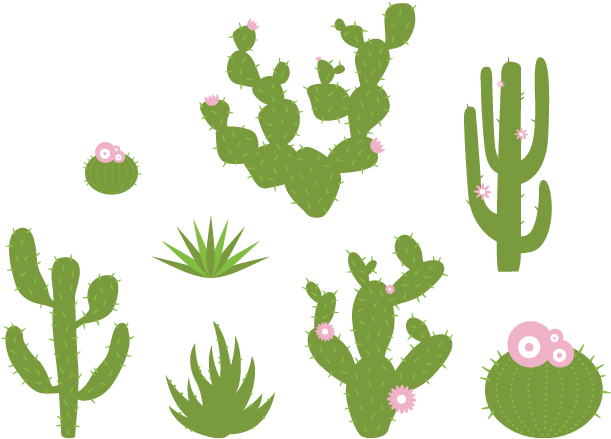 Desert Plant Wall Stickers - Wall Decal (660x500), Png Download