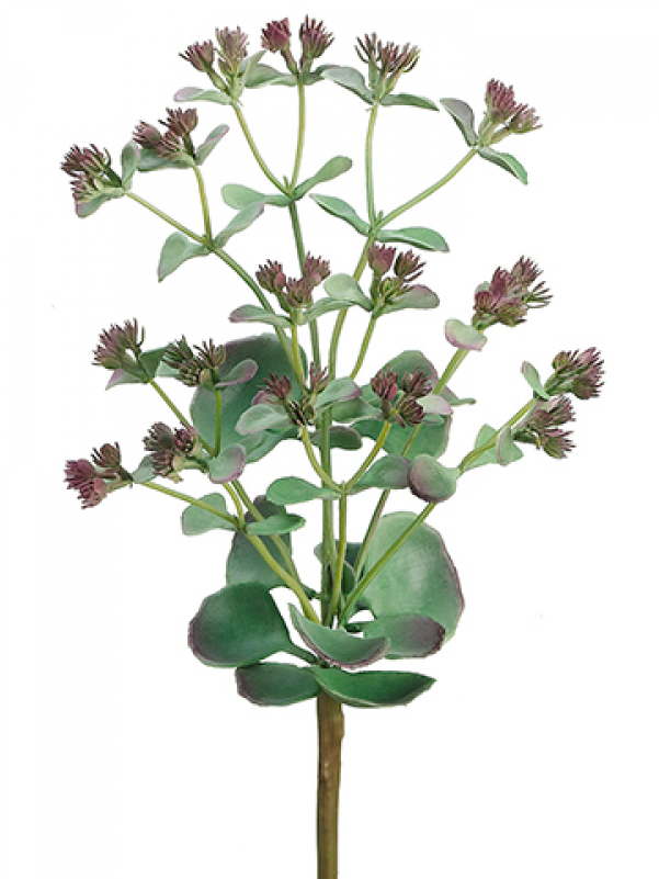 11" Desert Butterfly Plant X3 Green Mauve - Silk Flower Artificial Desert Butterfly Succulent Plant (800x800), Png Download