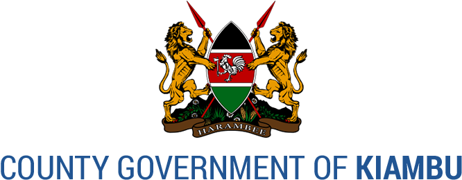 The Flash Episode - Bondo Technical Training Institute (700x295), Png Download