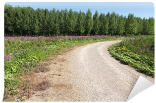 Curved Dirt Road With Flowers And Forest Wall Mural - Dirt Road (400x400), Png Download