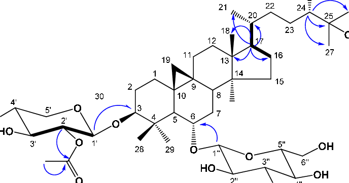 Key 1 H-1 H Cosy And Hmbc (blue Arrow - Diagram (688x361), Png Download