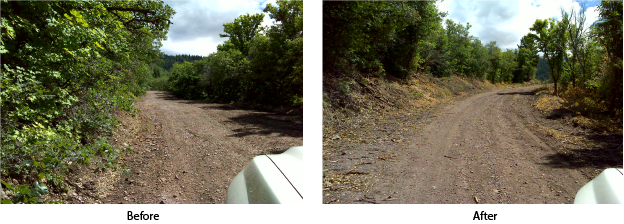 Two Images Showing Forest Road Before And After Brush - Cutting Forest Befor And After (624x224), Png Download