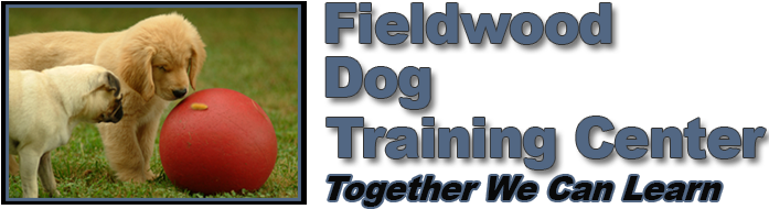 Call Today 717 576 - Lawn (700x200), Png Download