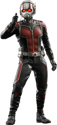 Ant Man Standing - Hot Toys Marvel Ant-man 1:6 Scale Figure (400x400), Png Download