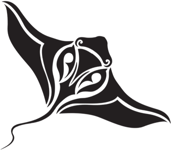 Gunnison Stingrays Gunnison Stingrays - Stingrays Team (411x300), Png Download