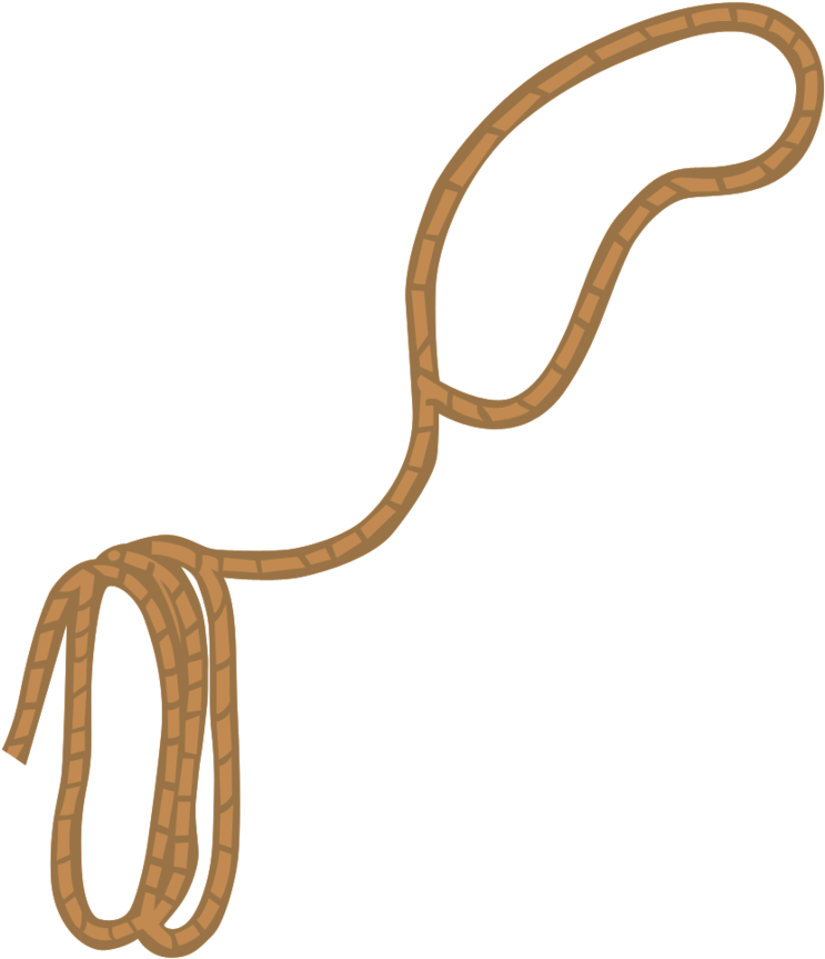 Lasso - Lasso Clipart (894x894), Png Download