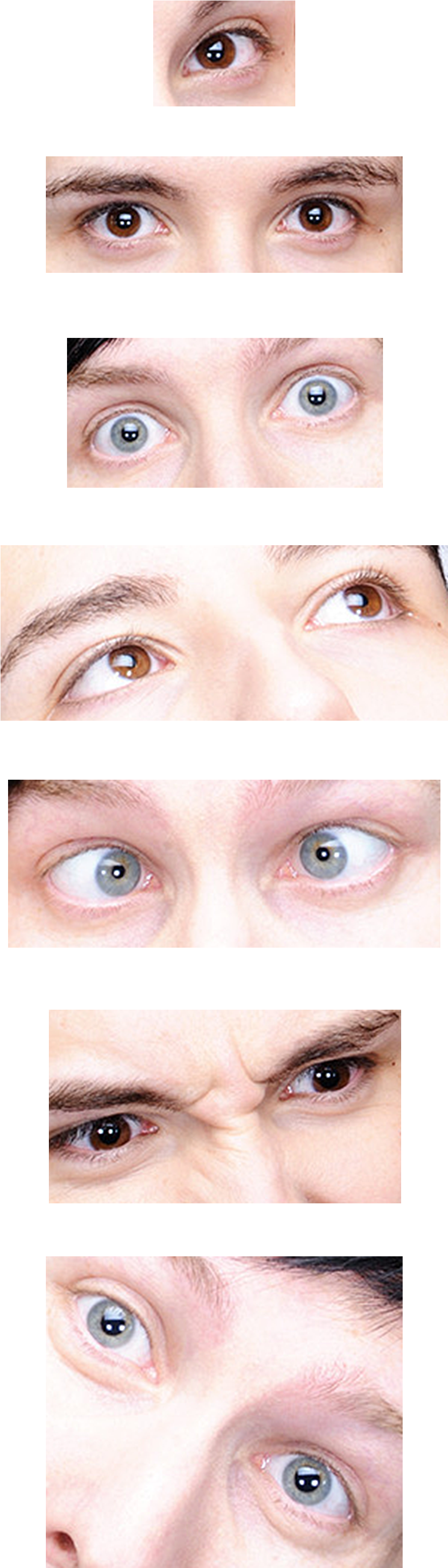 Image - Close-up (1088x3141), Png Download