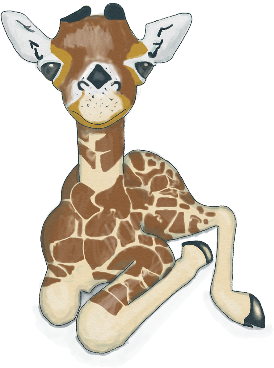 Baby Giraffe - Giraffidae (1920x1440), Png Download